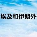 埃及和伊朗外长表示将努力恢复两国正常关系