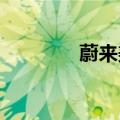 蔚来美股盘前短线小幅跳水