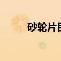 砂轮片目数是什么意思（砂轮片）