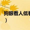 狗眼看人低看不起人的图片（看不起人的图片）