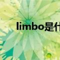 limbo是什么意思（mbo是什么意思）