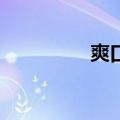 爽口乐11组合（爽口乐）