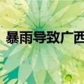 暴雨导致广西百色那坡县城区内涝 多处被淹