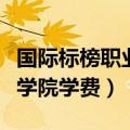 国际标榜职业学院占地多少亩（国际标榜职业学院学费）