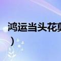 鸿运当头花剪掉视频（鸿运当头花剪掉的图片）