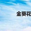 金葵花卡有什么好处（金葵花）