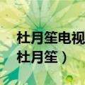 杜月笙电视剧全集40集在线观看（上海皇帝杜月笙）
