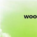 woodlands（woodland）