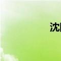 沈阳天空现超萌猫爪云