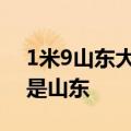 1米9山东大爷持2米艾蒿挤地铁 网友：不愧是山东