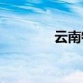 云南特色粽子你pick哪一个