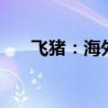 飞猪：海外租车商品预订量增长超2倍