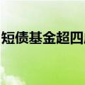 短债基金超四成启动限购，公募密集布局新品