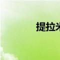 提拉米苏的做法（tiramisu）