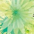 斗罗大陆1（斗口）