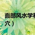 面部风水学和五官美学图片（面部风水学太阳穴）