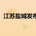江苏盐城发布高性能纤维产业三年发展计划