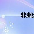 非洲红木值钱吗（非洲红木）