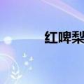 红啤梨产地批发（红啤梨产地）