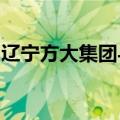 辽宁方大集团与深创投集团签署战略合作协议