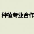 种植专业合作社要交税吗（种植专业合作社）