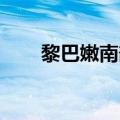 黎巴嫩南部一房屋遭袭 已致7人受伤