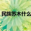 民族苏木什么意思（民族苏木与苏木的区别）