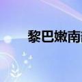 黎巴嫩南部多地遭以军袭击引发大火