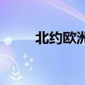 北约欧洲成员国就援乌寻求主导权