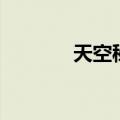天空秘宝体验卷（天空宝典）