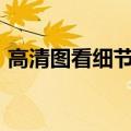 高清图看细节，南海沉船捞出了哪些“宝贝”