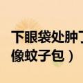 下眼袋处肿了像蚊子包有点疼（下眼袋处肿了像蚊子包）