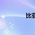 比亚迪海鸥上市厄瓜多尔