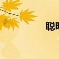 聪明电池背夹（聪明电）