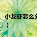 小龙虾怎么分辨公母图解（小龙虾怎么洗图解）