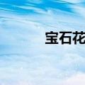 宝石花医疗集团官网（宝石花）