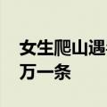 女生爬山遇毒蛇 竟凑上前合影：听说四五百万一条