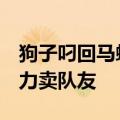 狗子叼回马蜂窝 主人被蜇成大小眼 网友：实力卖队友