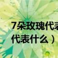 7朵玫瑰代表什么含义花语是什么（7朵玫瑰代表什么）