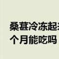 桑葚冷冻起来可以存放几个月（桑葚冷冻了6个月能吃吗）