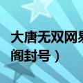 大唐无双网易藏宝阁修改价格（大唐无双藏宝阁封号）