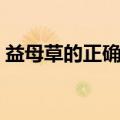 益母草的正确吃法（益母草喝多了会怎么样）