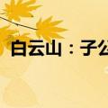 白云山：子公司药品通过仿制药一致性评价