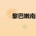 黎巴嫩南部一汽车遭以军无人机袭击