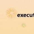 executive force（executive）