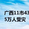 广西11市43县（市、区）出现洪涝灾害 18.15万人受灾