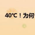 40℃！为何今年热得这么早 专家道出原因