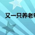 又一只养老FOF基金踩下规模清盘“红线”