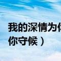 我的深情为你守候是艺术歌曲吗（我的深情为你守候）