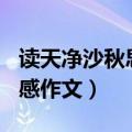 读天净沙秋思有感300字作文（天净沙秋思有感作文）